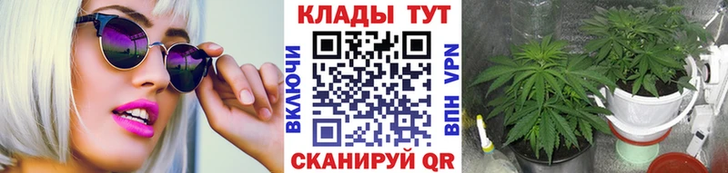 APVP Верхоянск