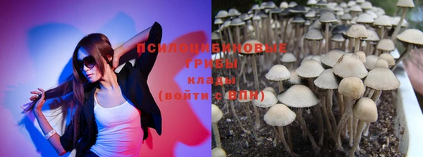 первитин Ельня