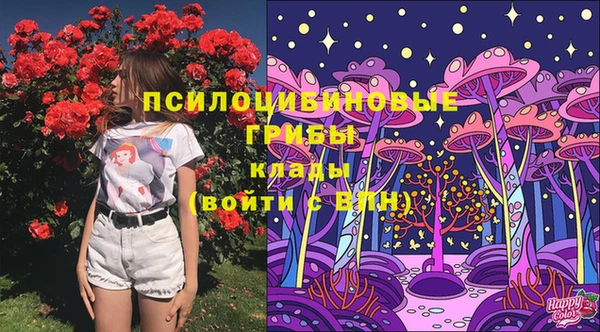амф Елабуга