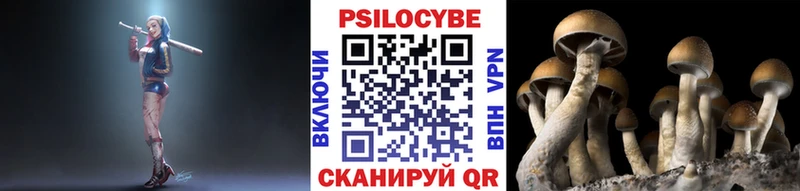 Купить где  Верхоянск  Галлюциногенные грибы мицелий 